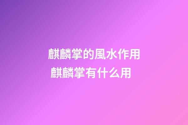 麒麟掌的風水作用 麒麟掌有什么用